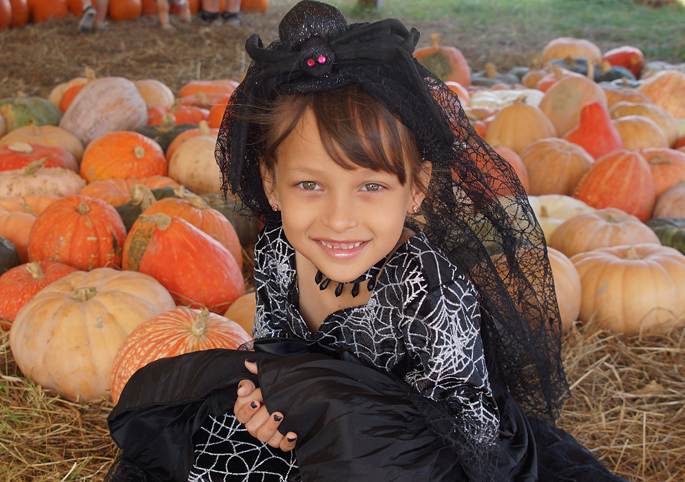 A beautiful young girl wearing a spider costume in a pumpkin patch