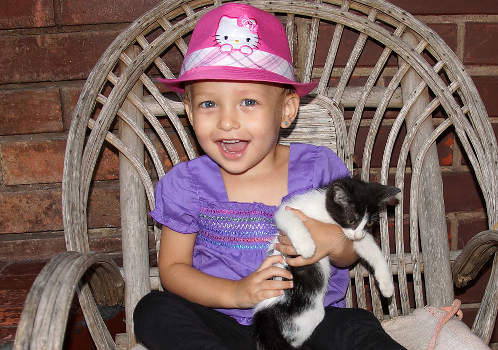 Beautiful Colombian American toddler wearing a pink hat with a cat while holding on the a black and white kitten 
