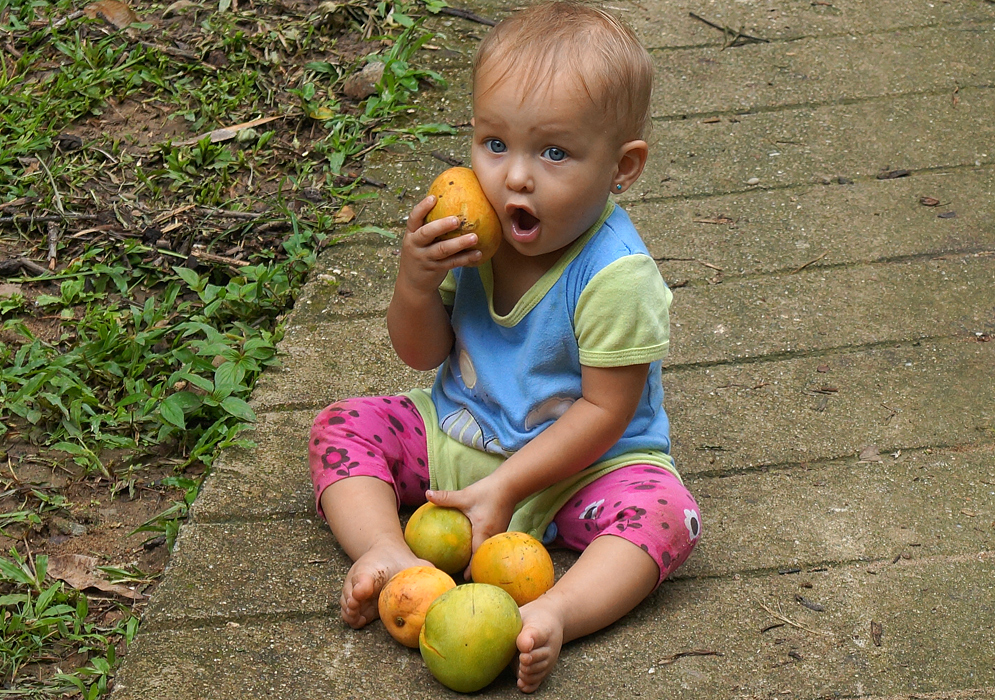 Beautiful one year old Colombian American girl holding a yellow mango to her cheek
