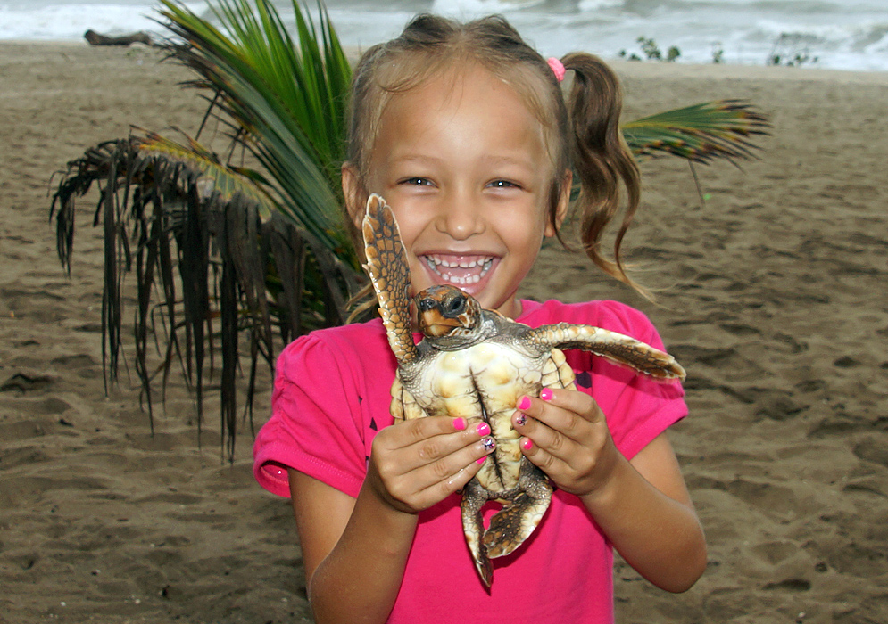 Beautiful five year old girl holding a baby sea turtle on the beach