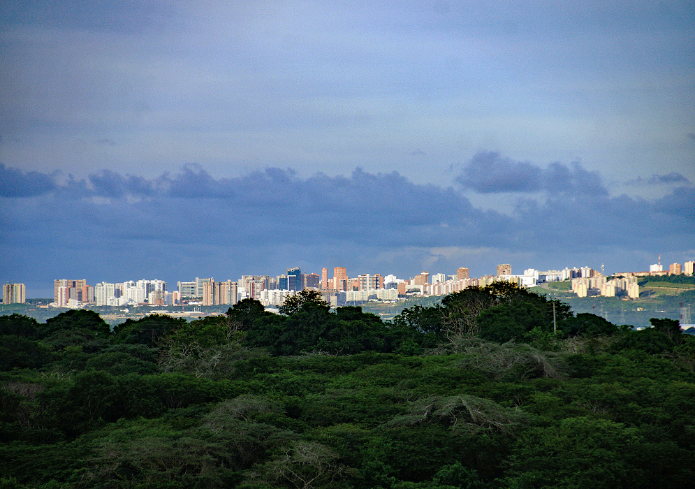 Barranquilla struck by the setting sun giving a glow to the skyscrapers while darkness covers the foreground vegetation
