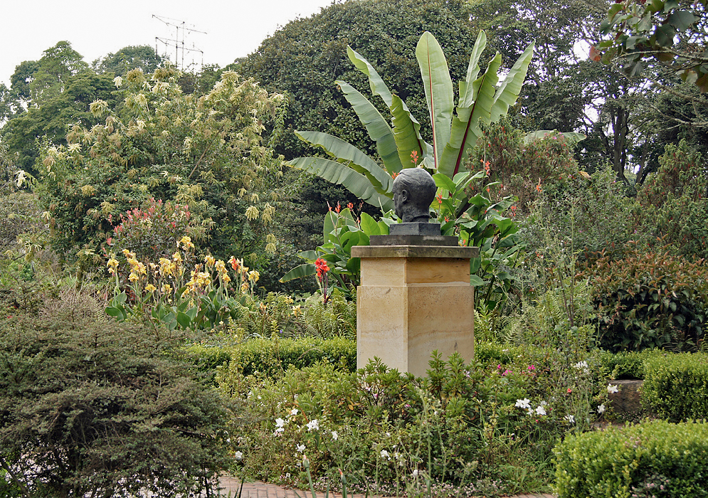 A statue of a man's head surrounded by flowering plants