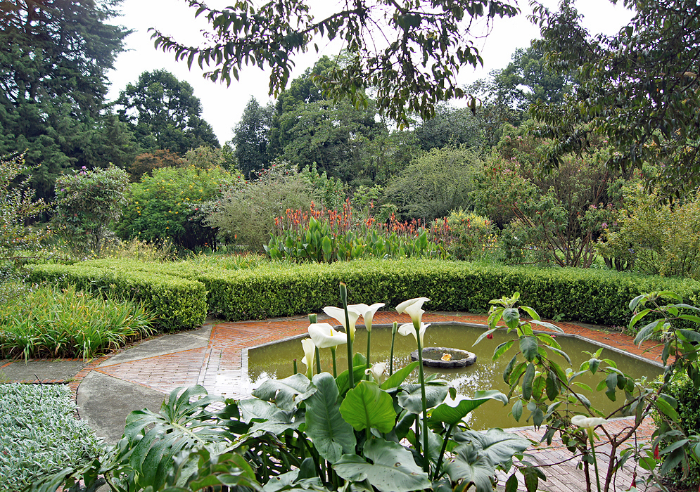 A water fountain surrounded by flowering plants