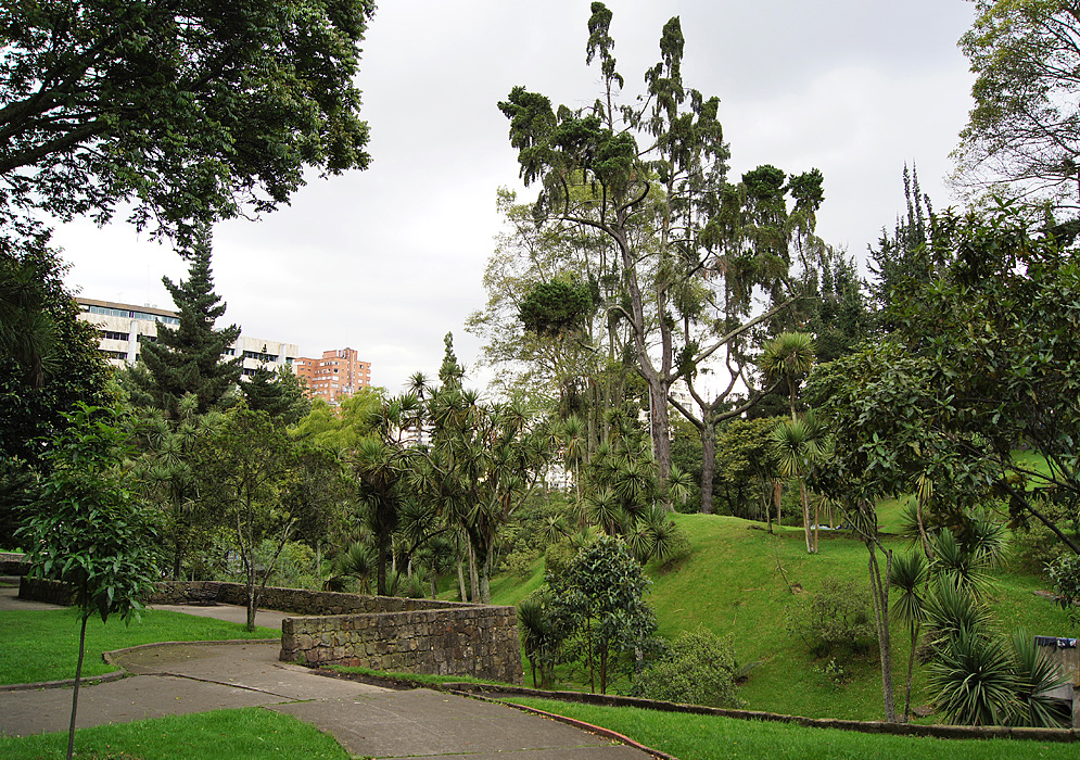 Green Bogotá Park A walkway in a park green with grass and trees