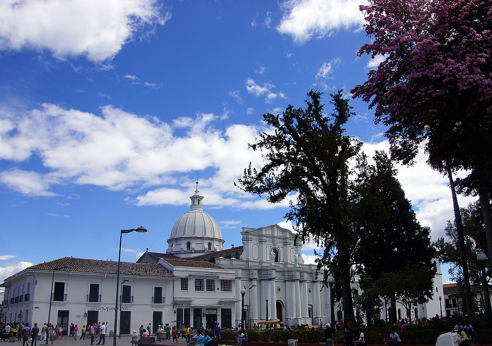 A white cathedral under blue skies and a pink flowering tree in the foreground