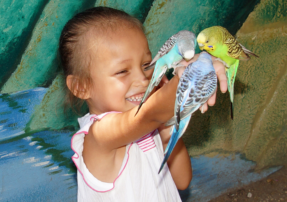 A laughing little girl holding three birds