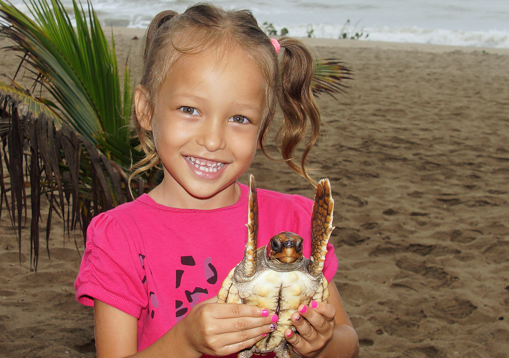A beautiful Colombian American girl holding a baby sea turtle on the beach