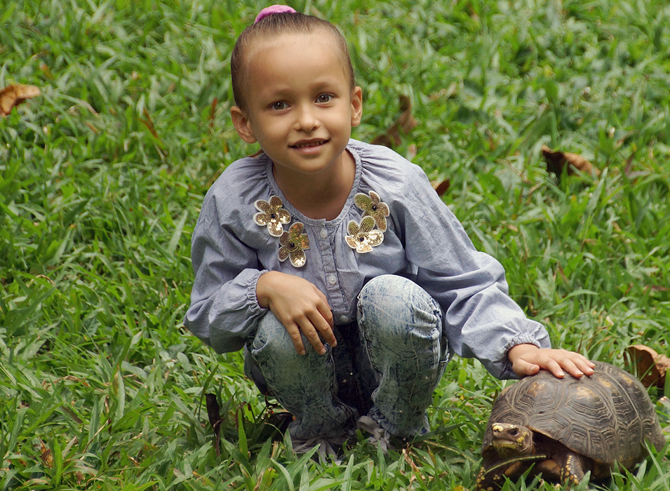 A beautiful girl stooping down to touch a tortoise