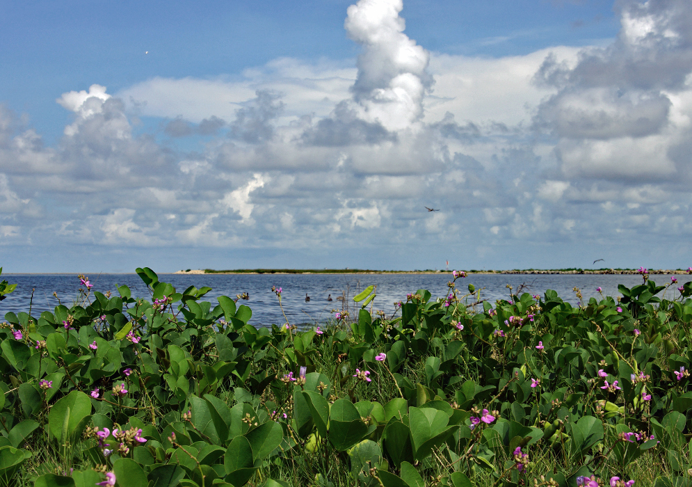 Cienaga de MallorquÃn The strip of land that leads to the mouth of the Magdalena river with the sea in the foreground