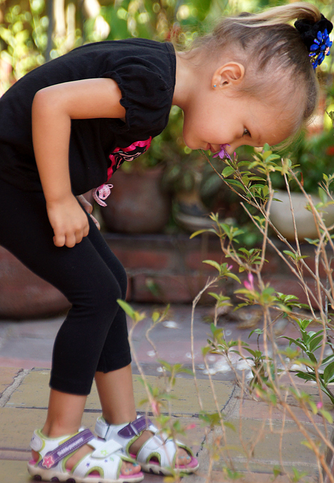 Niña colombo americana vestida de negro inclinada oliendo una flor