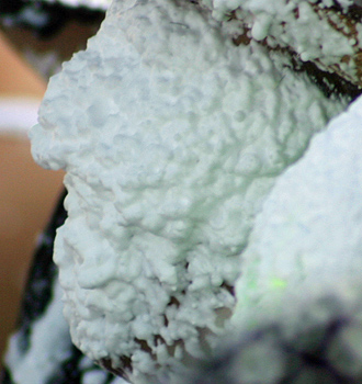 Carnival spectators covered in white foam