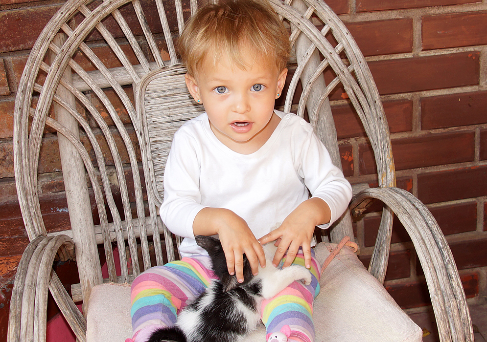 Gorgeous Colombian American toddler holding on to her black and white kitten