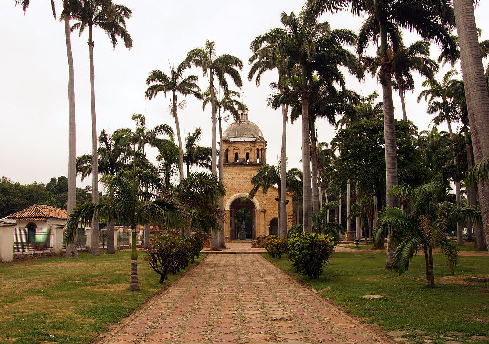 An entrance to an old brown church lined with palm trees