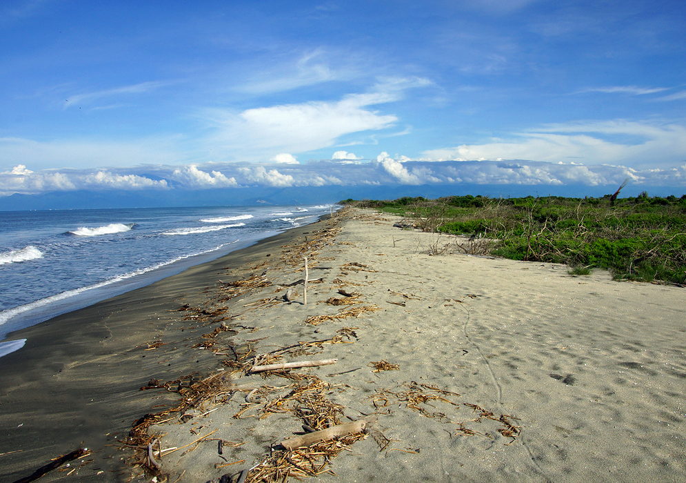 Magdalena Beach 