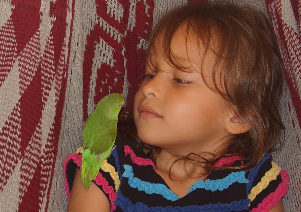 Little girl face to face with parrotlet on her sholder