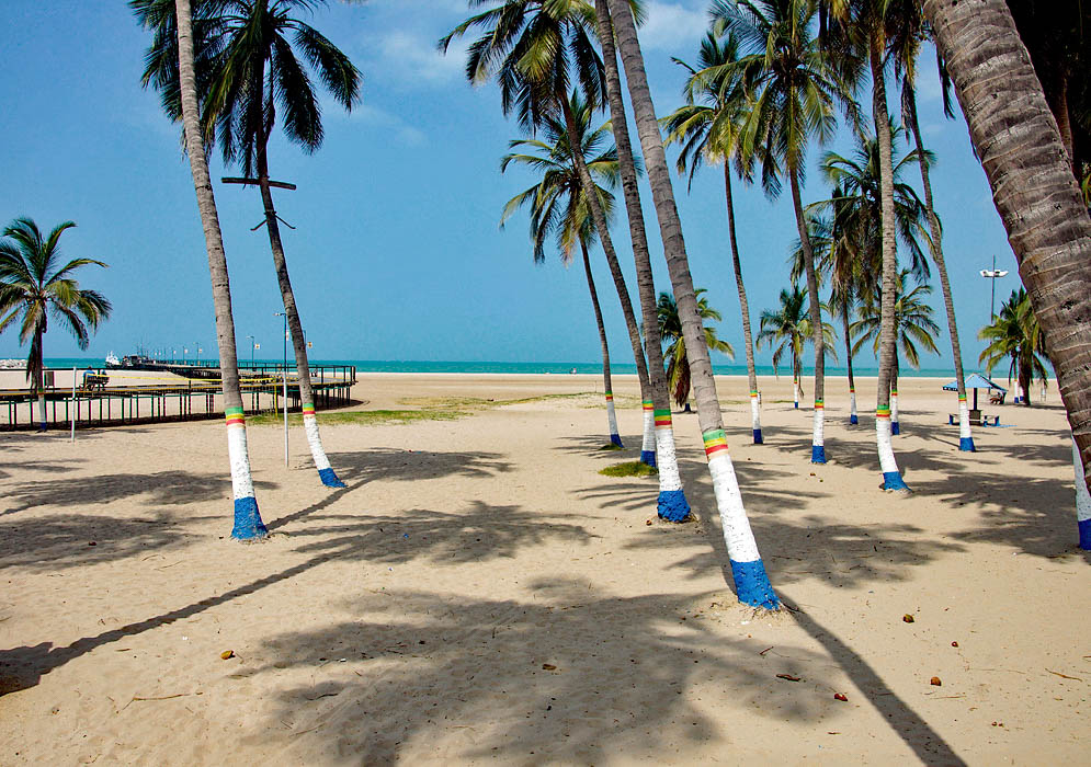 Coconut palms on the beach and the pier