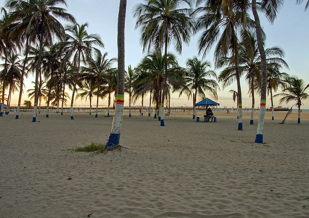 Riohacha pier and palm trees on beach