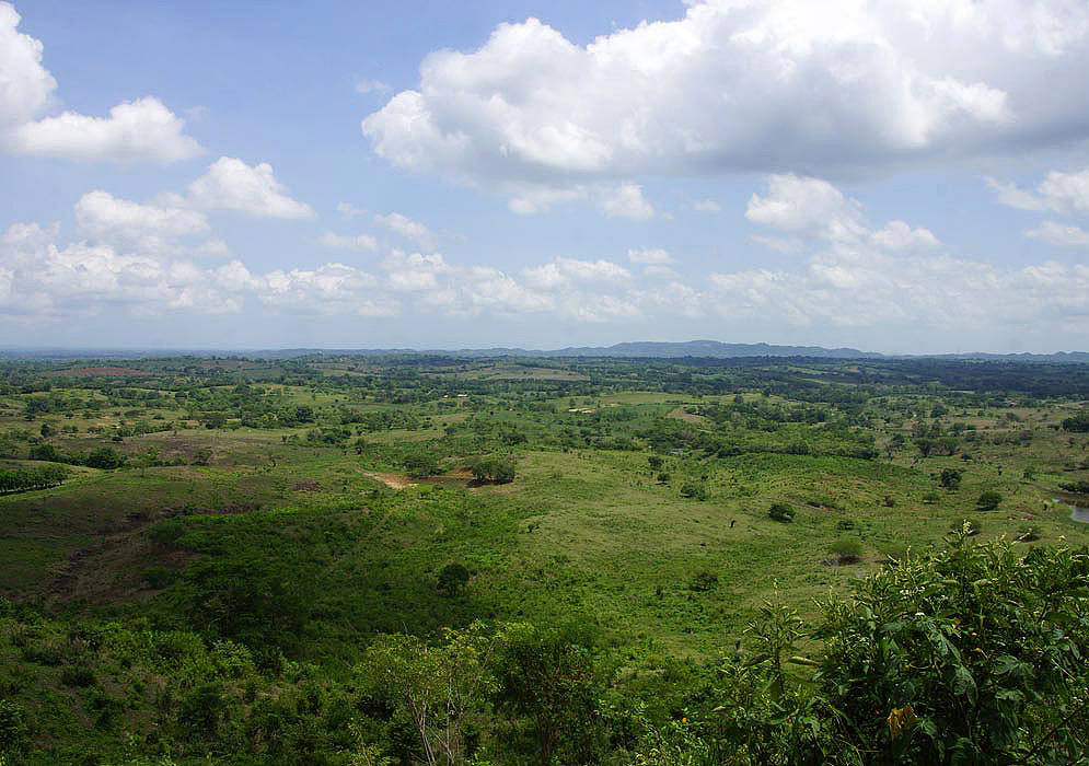 Green savanna and pastureland near Sincelejo