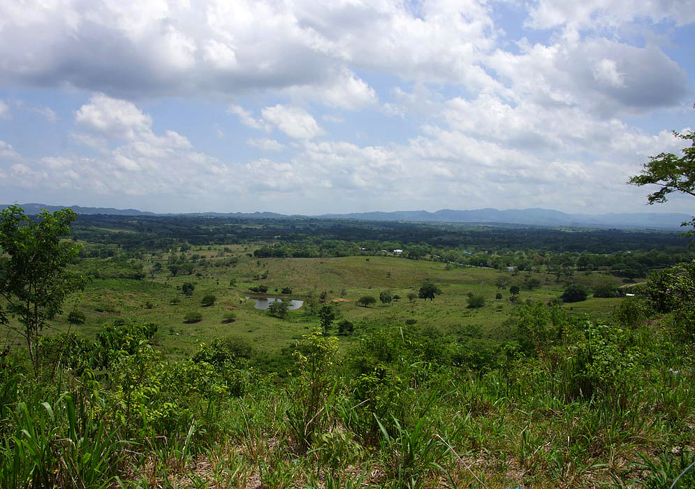 Pastureland with hills in the background near Sincelejo