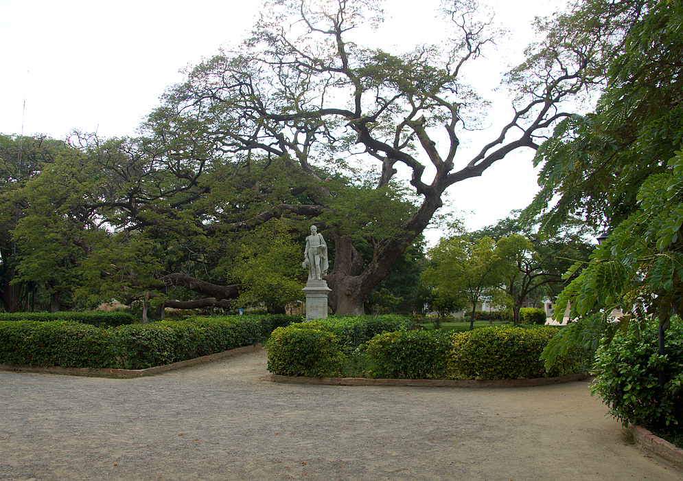 A statue of Simón Bolívar with a large tree in the background
