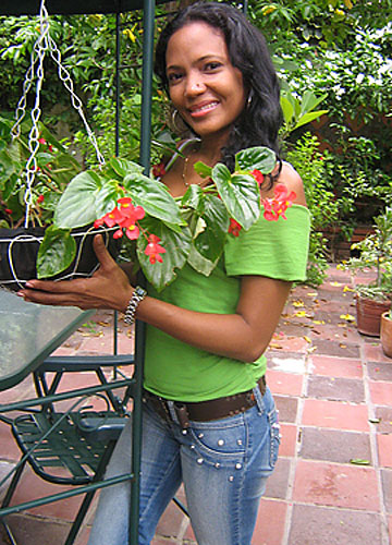 Your Latin Wife? Your Latin Wife?